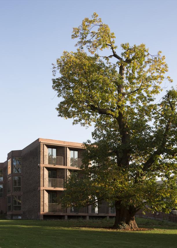 Chadwick Hall Roehampton, London 2012–2016. The South Court viewed from the grounds of Downshire House 